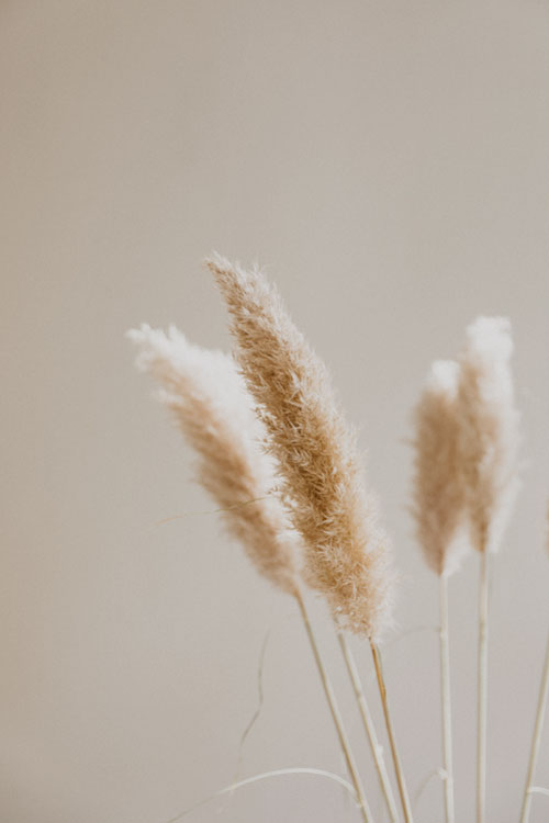 Health and Happiness | online cursus | omgaan met stress | aanpakken uitstelgedrag | bewuster leven Health and Happiness | online cursus | omgaan met stress | aanpakken uitstelgedrag | bewuster leven