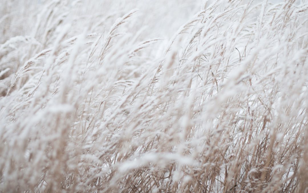 Health and Happiness | omgaan met stress | Zelfvertrouwen | Positieve gedachten | Angst loslaten