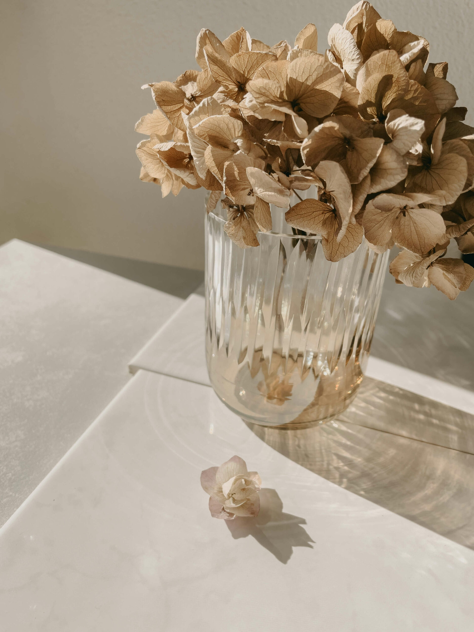 Health and Happiness | coaching burn-out | stress | moeders | Zelfvertrouwen | Positieve gedachten | rust en energie