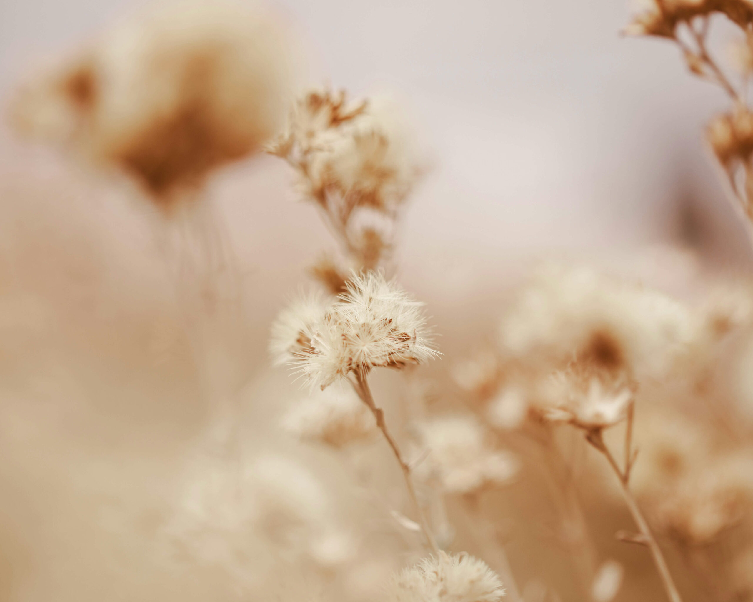 Health and Happiness | coaching burn-out | stress | moeders | Zelfvertrouwen | Positieve gedachten | rust en energie Health and Happiness | coaching burn-out | stress | moeders | Zelfvertrouwen | Positieve gedachten | rust en energie