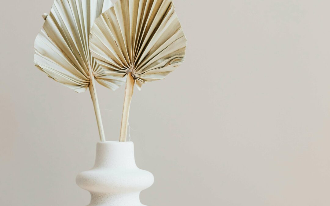 Health and Happiness | coaching burn-out | stress | moeders | Zelfvertrouwen | Positieve gedachten | rust en energie