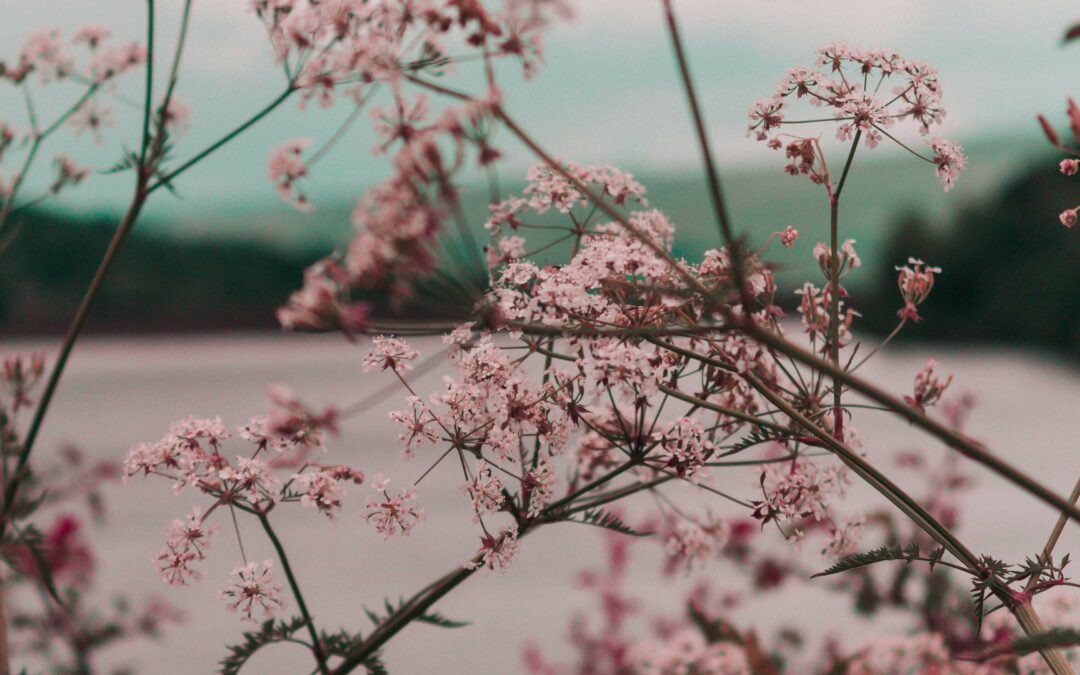 Health and Happiness | omgaan met stress | Zelfvertrouwen | Positieve gedachten | Angst loslaten