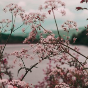 Health and Happiness | omgaan met stress | Zelfvertrouwen | Positieve gedachten | Angst loslaten